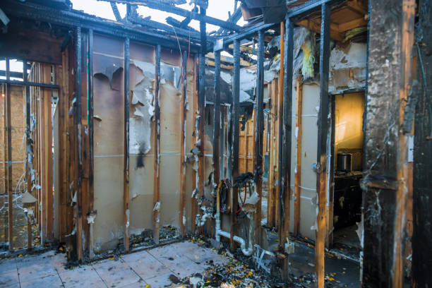 Professional Smoke Damage Removal technician working in Perkiomenville, PA